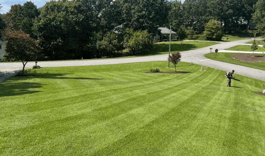 The Yard Butler